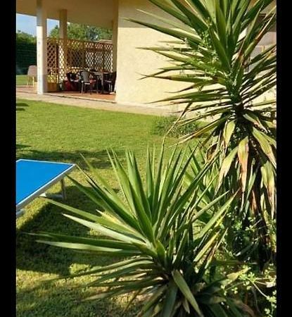 Green Garden Viareggio Extérieur photo