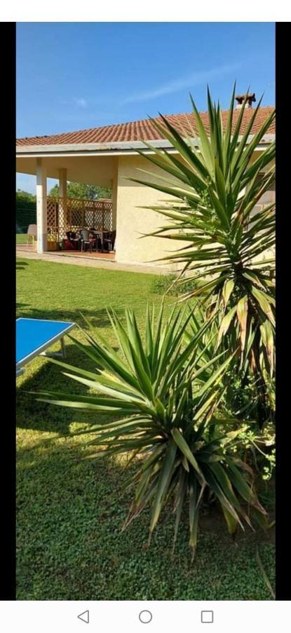 Green Garden Viareggio Extérieur photo